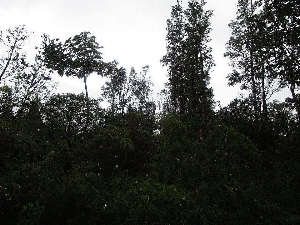 2nd image of Kuhio Dr Lot 34