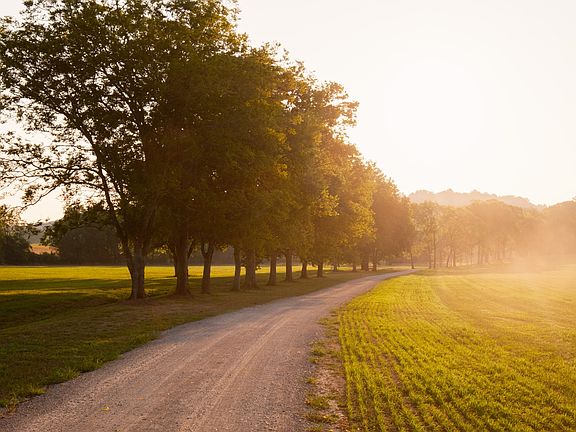 74th image of this home