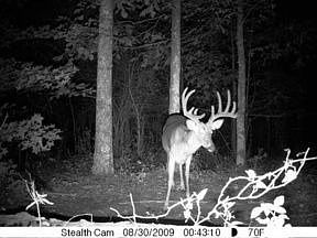 2nd image of 776 Reynolds Rd