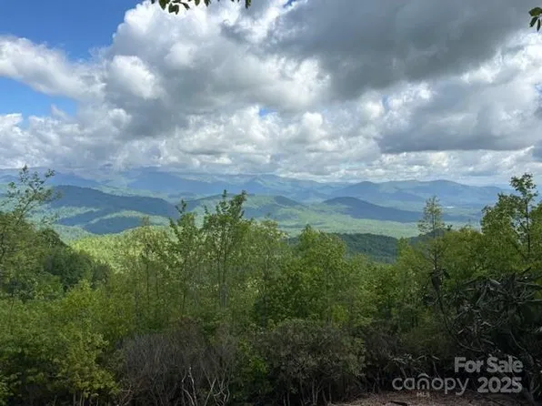 99999 Cliffledge Trl, Black Mountain, NC 28711