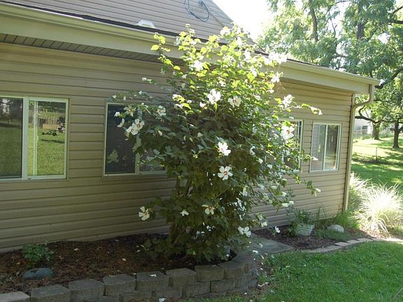 4th image of 6823 Clymer Dr