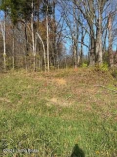 5th image of 0 N Taylorsville Rd