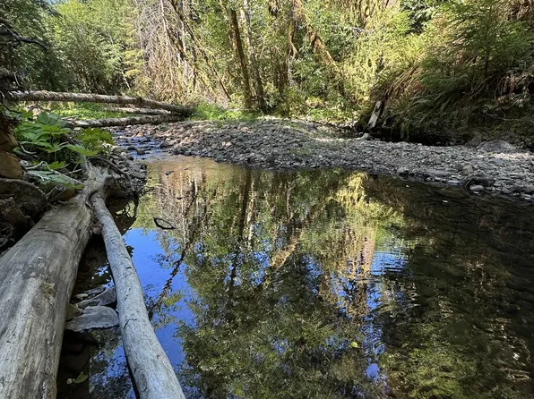 Highway 53, Nehalem, OR 97131