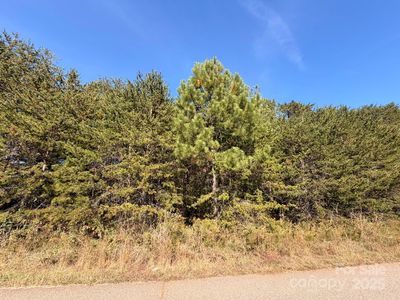 1953 Milton St #36, Newton, NC, 28658