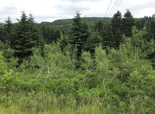 0 Snows Rd, North River, NL A0A3C0