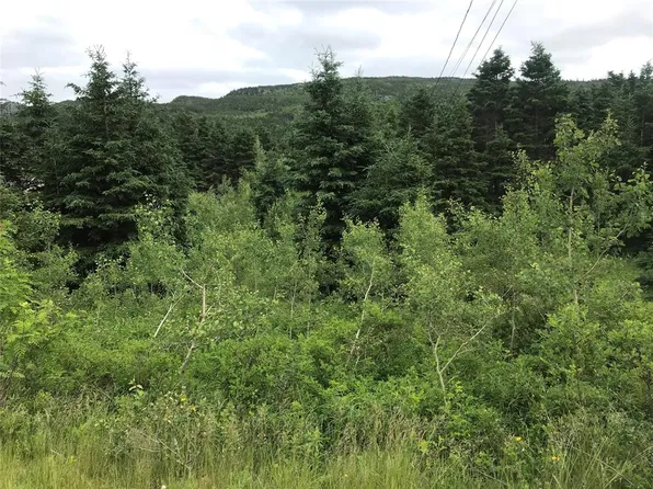 0 Snows Lane Road, North River, NL A0A3C0