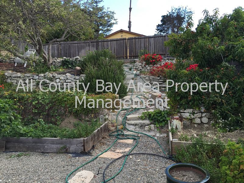 2nd image of 2458 Shamrock Dr