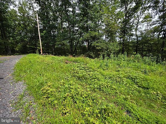 5th image of Pink Dogwood Ln