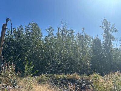 2871 N Lovers Ln, Wasilla, AK, 99654