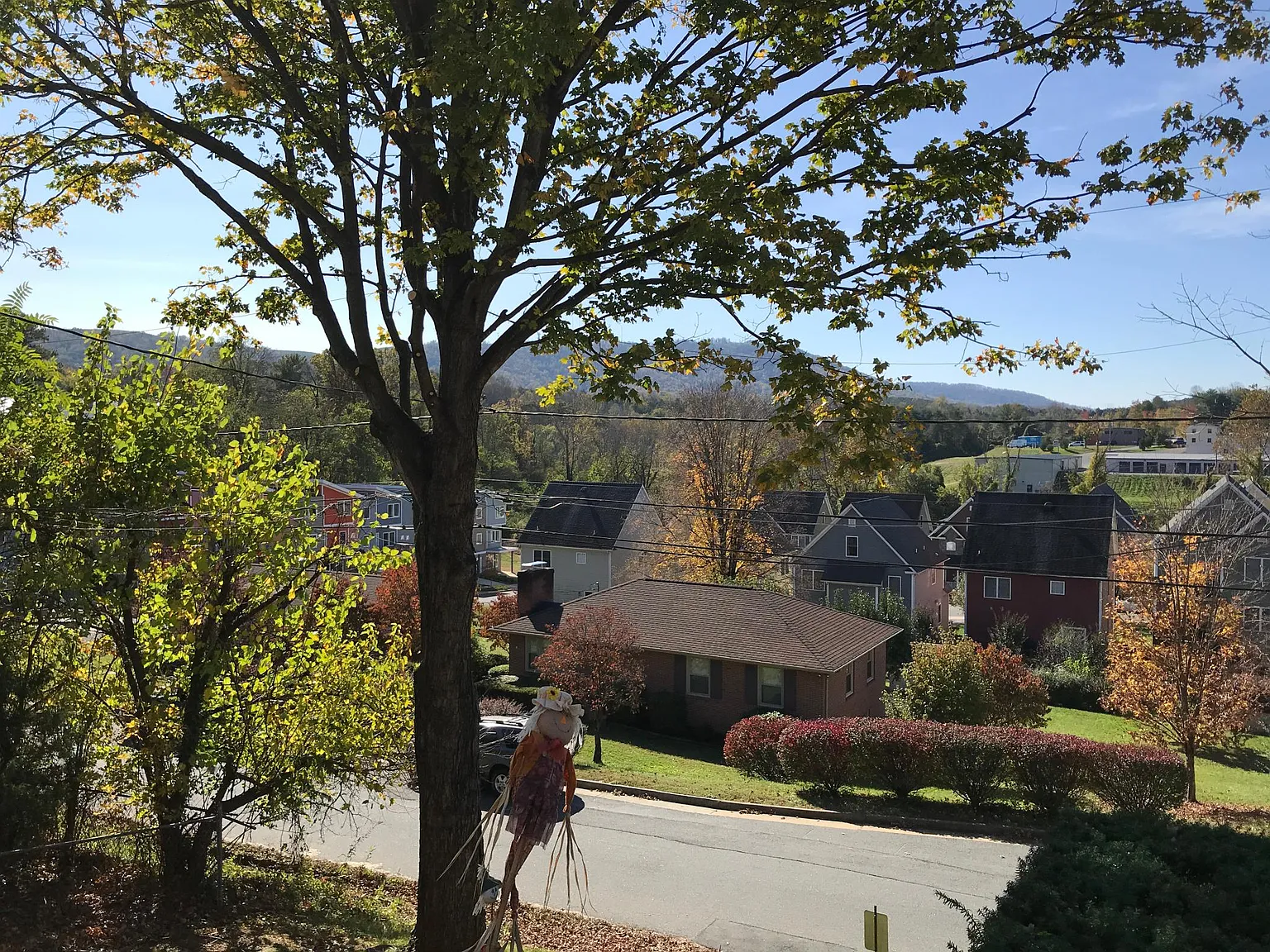 2 bed, 1.5 bath, 1150 sqft, $1,795 — Photo 2