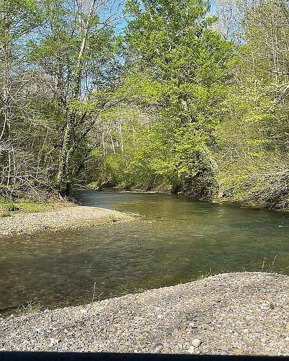 Gravel bar in Caddo River 