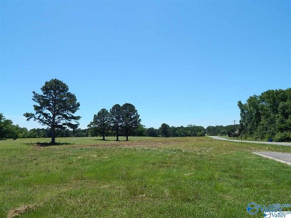 Lots 9 20 Haynes Rd, Arab, AL 35016