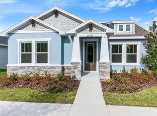 28756 Rambutan Dr, Wesley Chapel, FL 33543