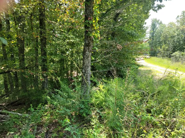 506 Lakeview Trail Dr, Holladay, TN 38341