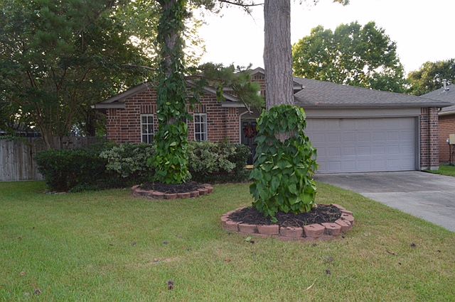 1st image of 19930 Black Cherry Bend Ct