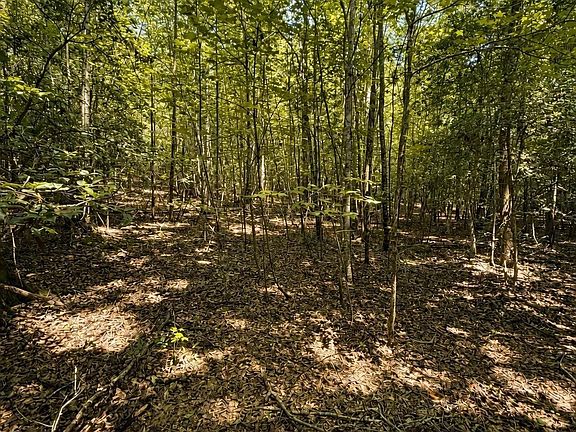 3rd image of TRACT 3 Circle Rd