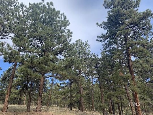 3rd image of 2796 Black Fawn Ln