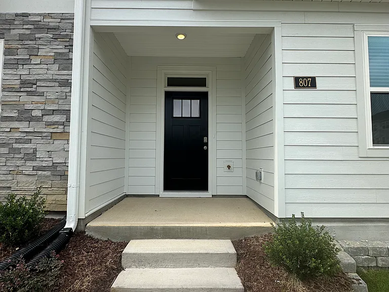 807 Lucky Clover Way — Photo 2