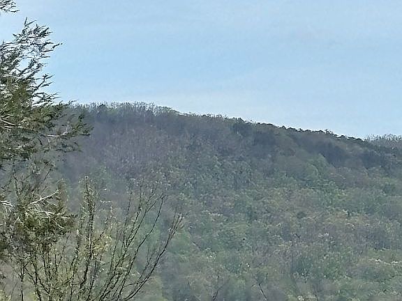 5th image of 646 Shady Grove Rd