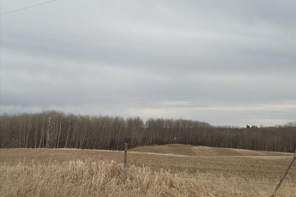 1st image of Golden View Drive Land Lake Metigoshe