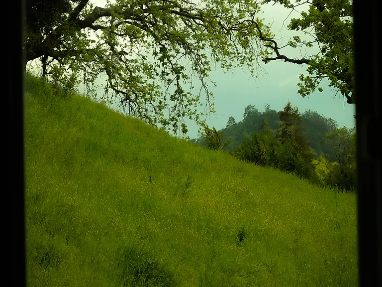 View from bedroom window