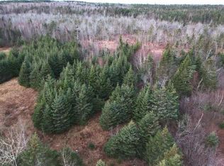 1963 Gospel Woods Rd, Arlington, NS B0P1H0