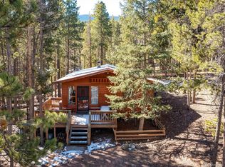 54 Cedar Rd, Evergreen, CO 80439