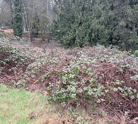 3rd image of 14708 SE 145th Place