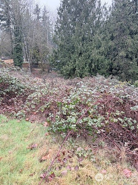 3rd image of 14708 SE 145th Place