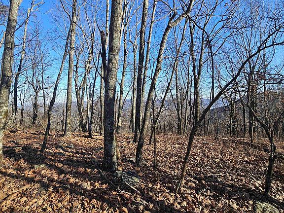 3rd image of (Undisclosed Address)