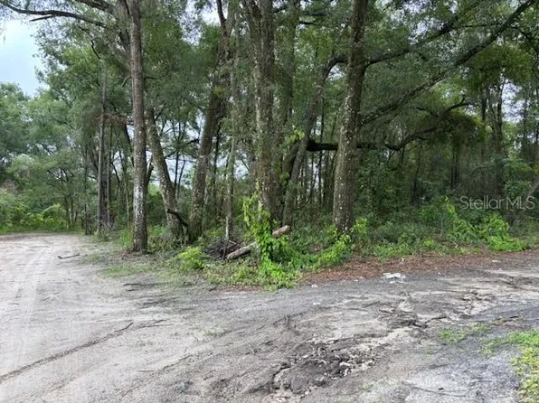 0 SE 43rd Ter, Summerfield, FL 34491