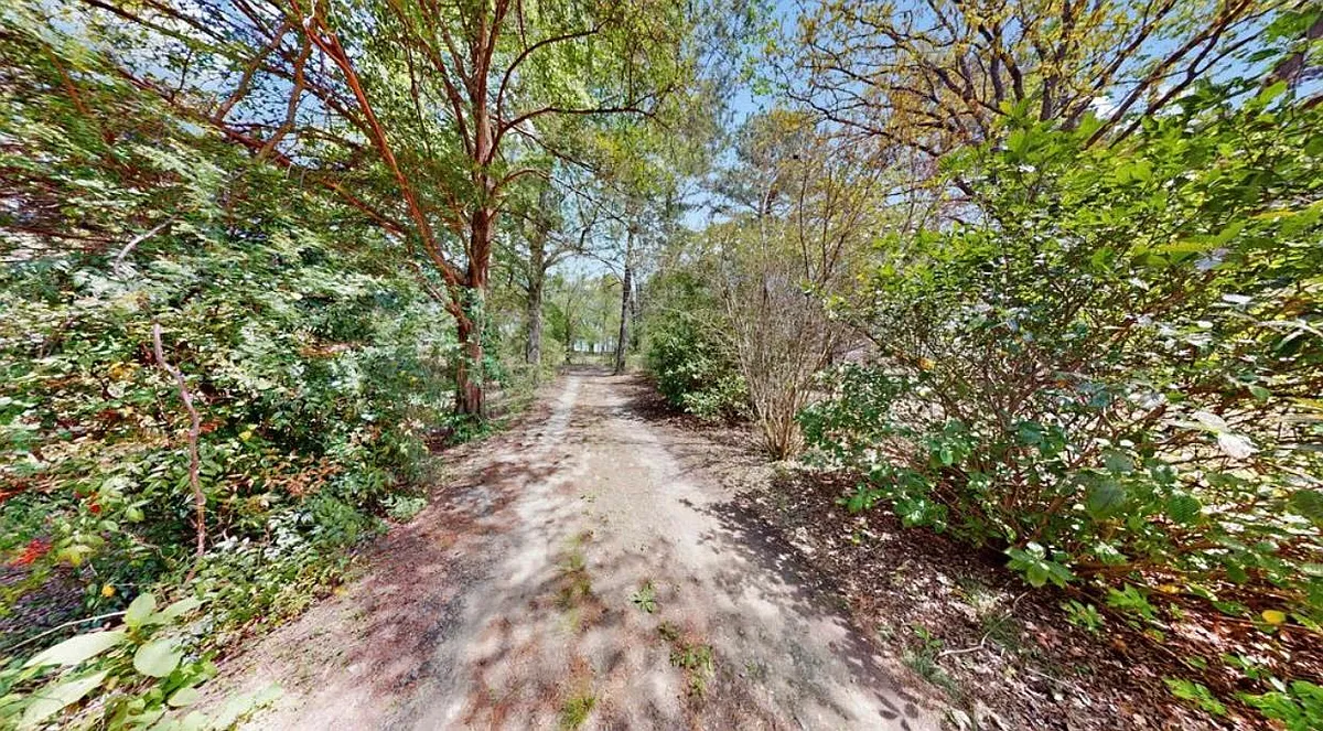 Driveway - 5255 Hereford Farm Rd