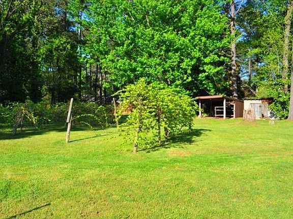 Garden Area and Vineyards