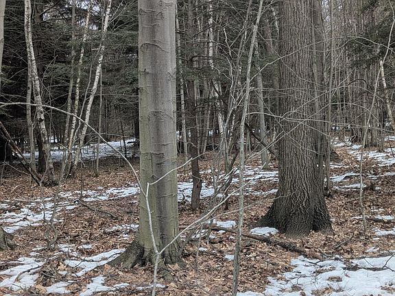 5th image of Opal Ridge Dr #68