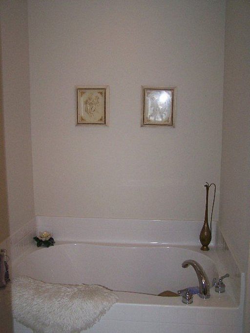 1st image of 3232 Misty Hill Way