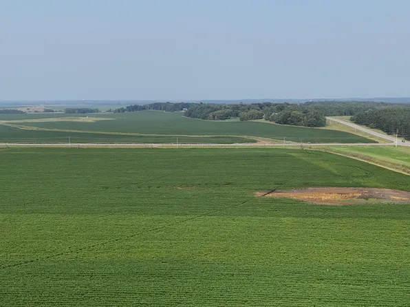 0 County Road 61, Browerville, MN 56438