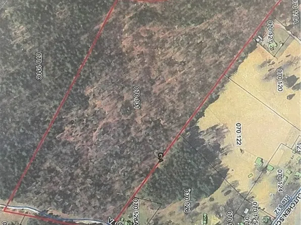 Na Estaline Valley Rd, Craigsville, VA 24430