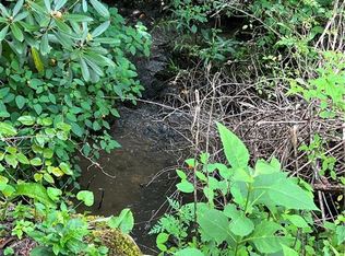 174 Odoms Chapel Rd, Bakersville, NC 28705