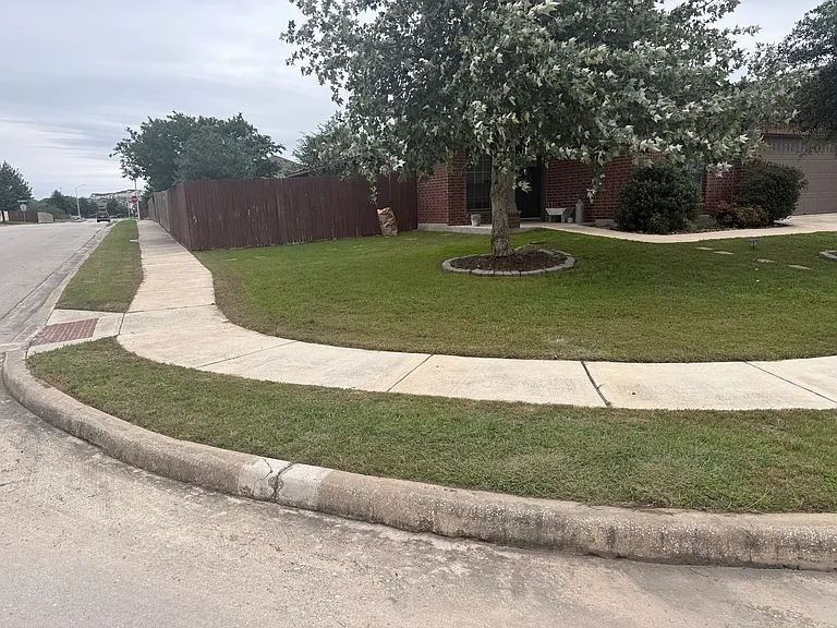 264 Lillianite — Photo 11