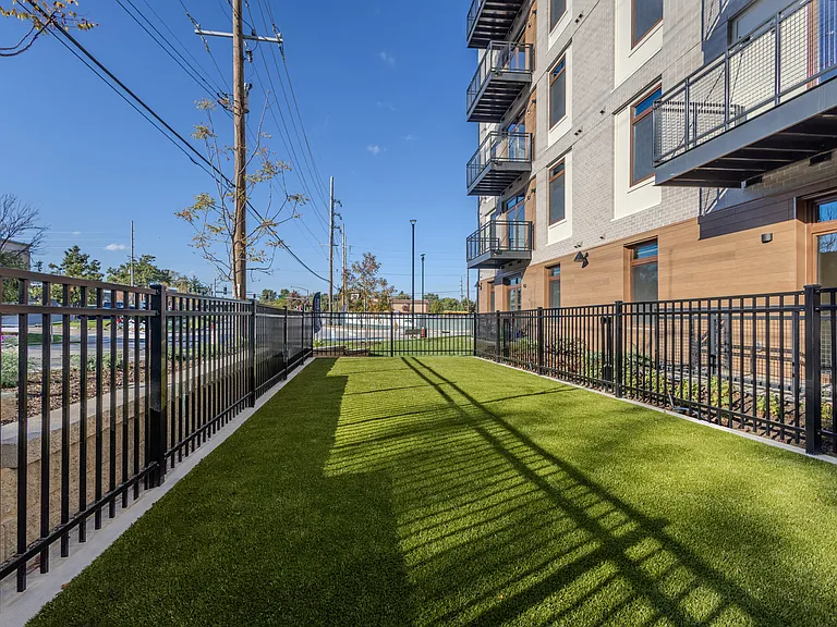 exterior pet park