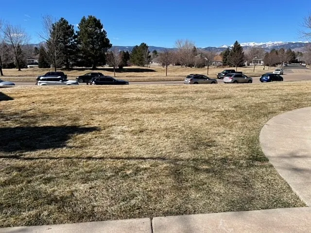 front yard view