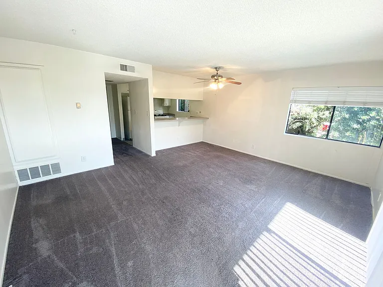 33941 Violet Lantern St #B — Photo 9