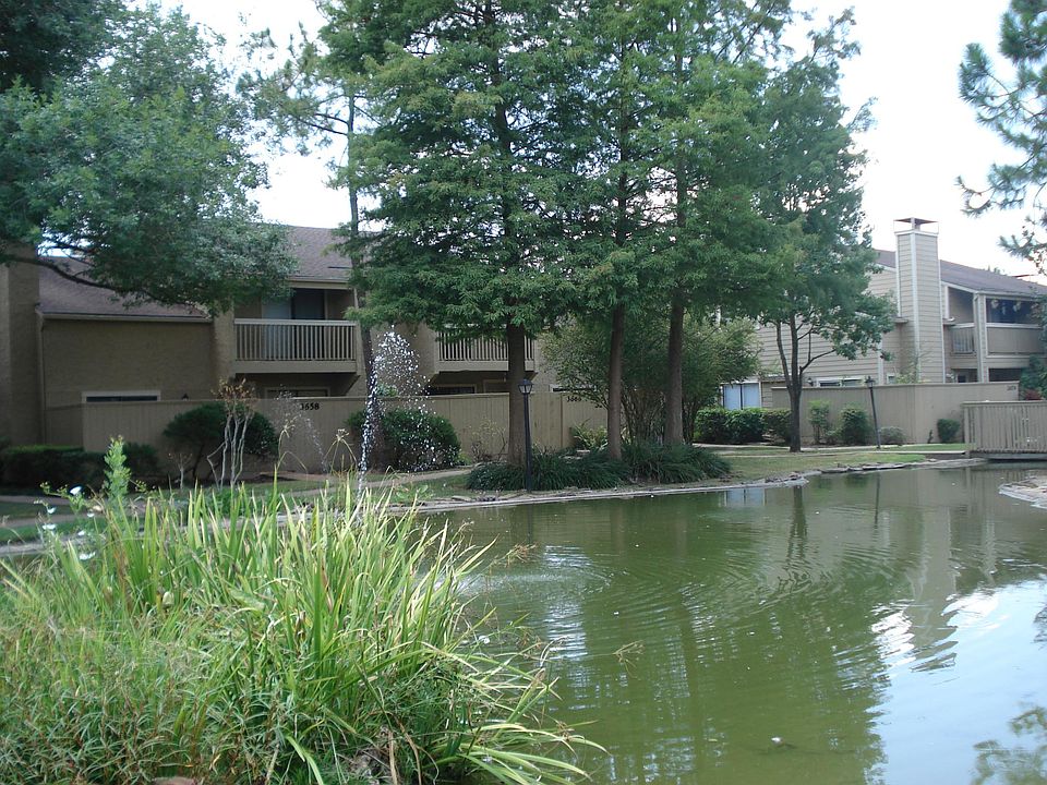 Another view of the fish pond