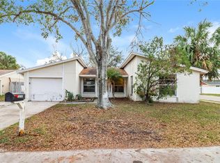 10106 Royal Acres Ct, Tampa, FL 33615