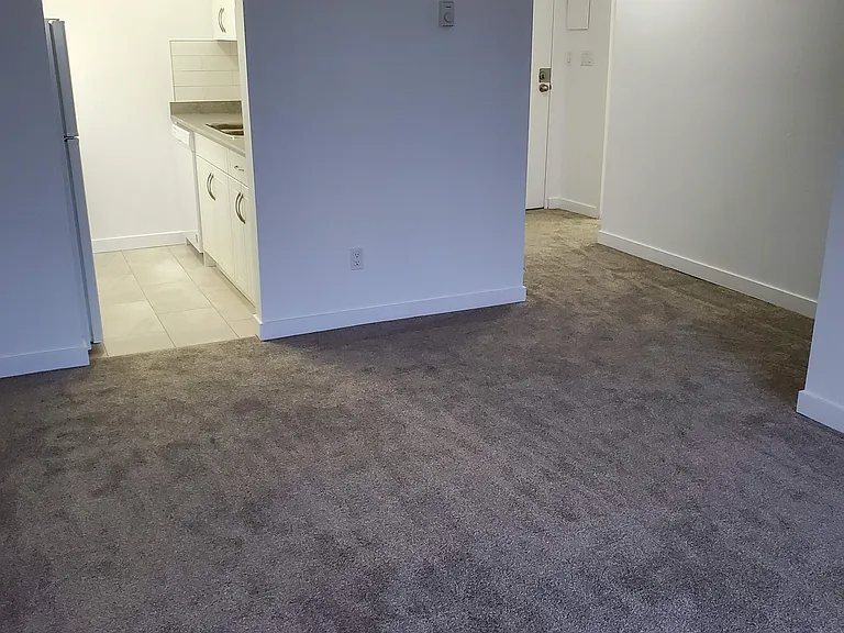 1033 4th Ave — Photo 22