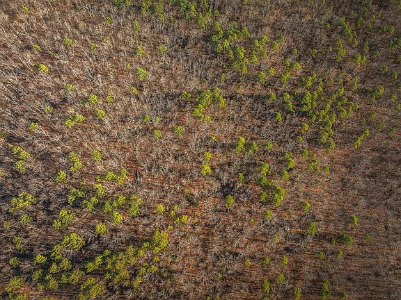 15th image of this home