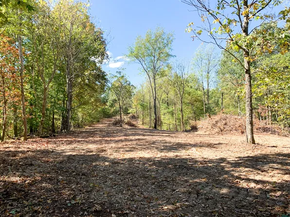 0 Bethel Rd, Prospect, TN 38477