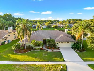 3360 Hickorywood Way, Tarpon Springs, FL, 34688
