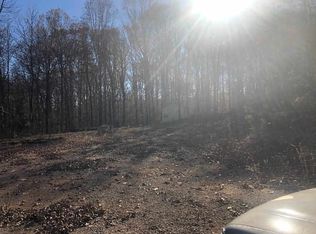 2080 Lancaster Rd, Enville, TN 38332