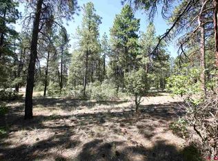 47 Kenosha Trl, Durango, CO 81301